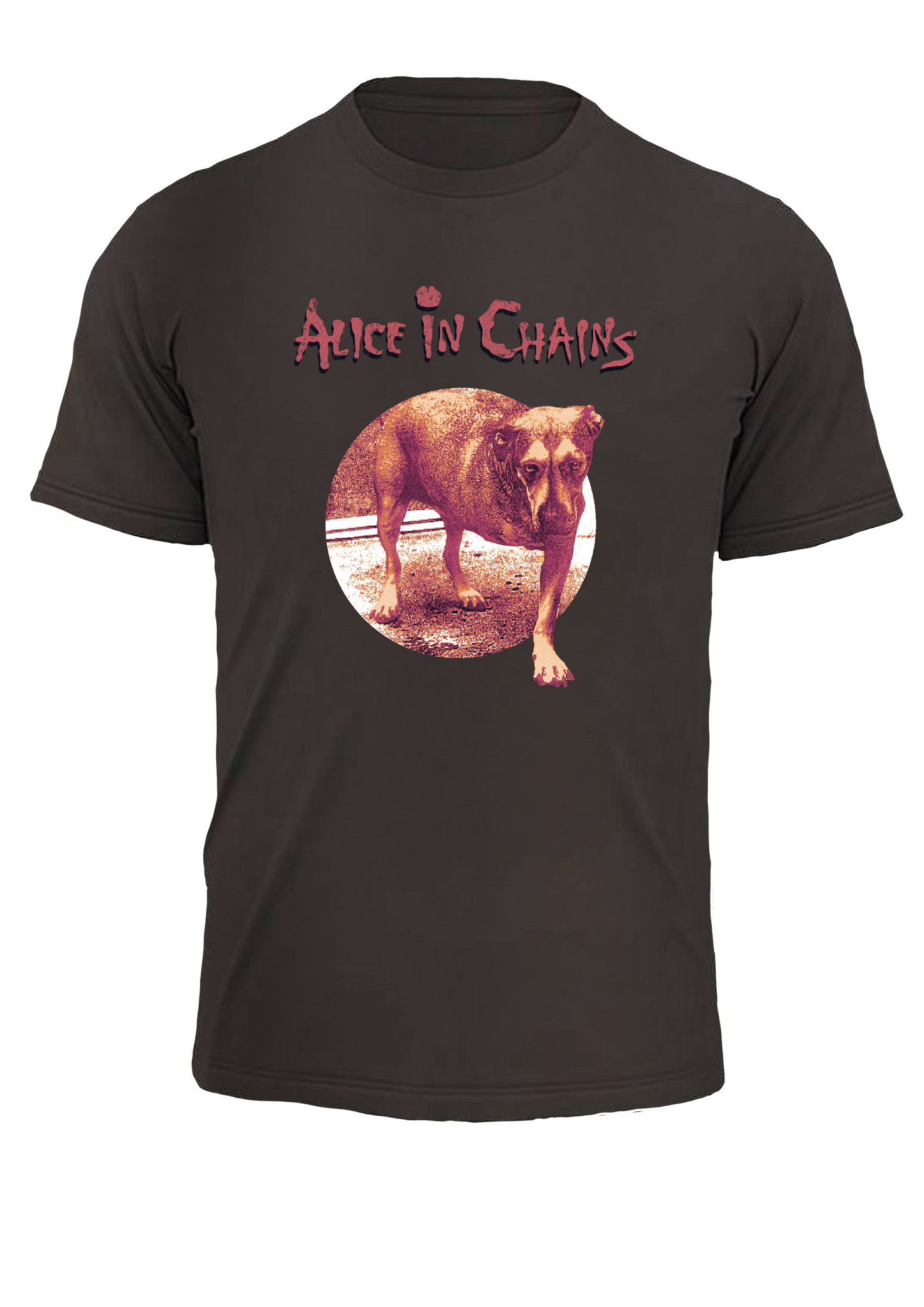 Alice in Chains T Shirt