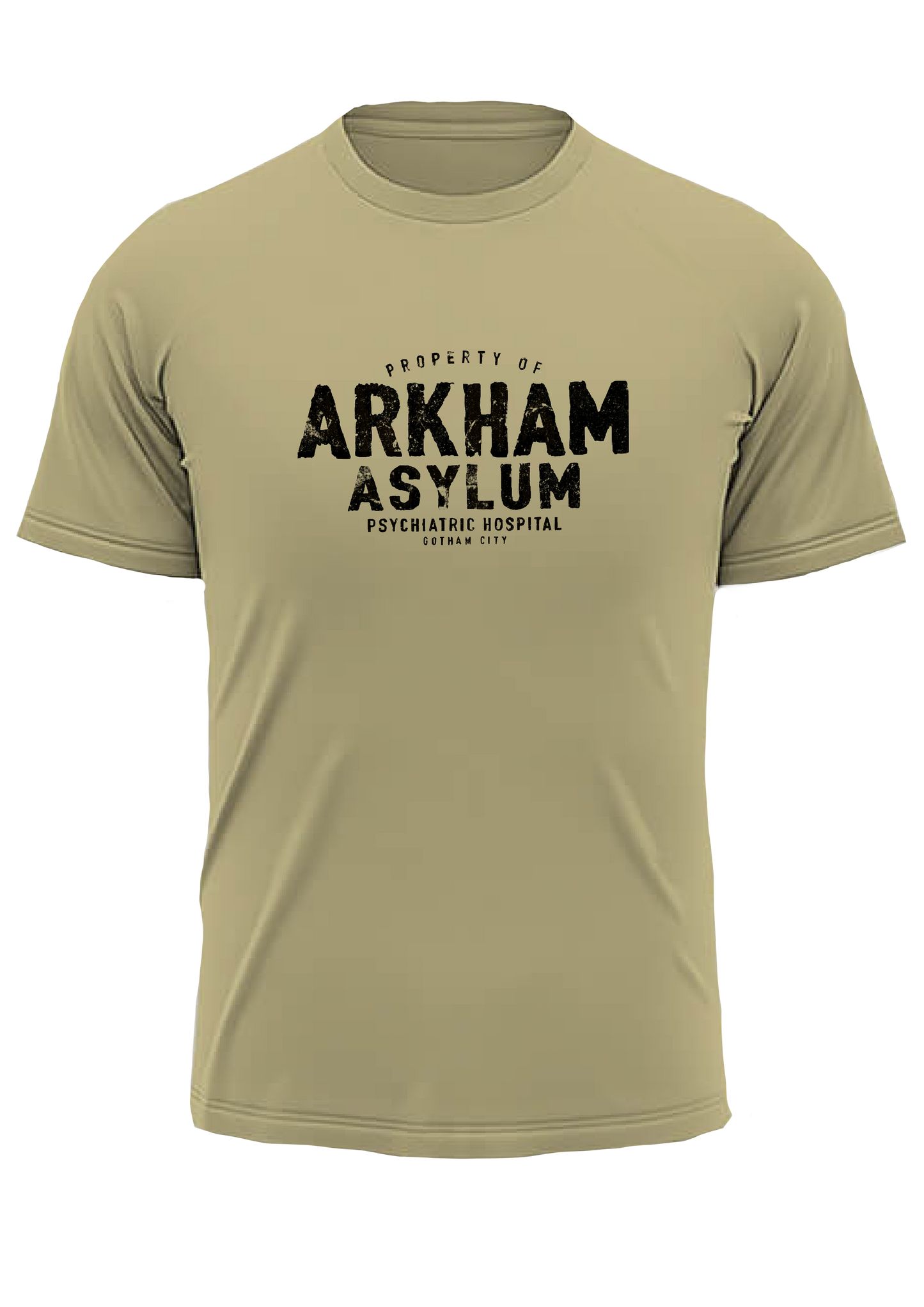 Arkham Asylum T Shirt