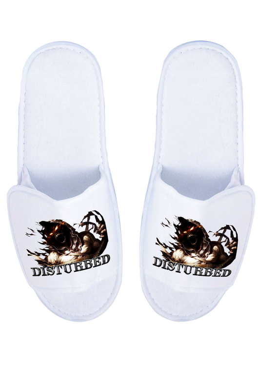 Disturbed Slippers