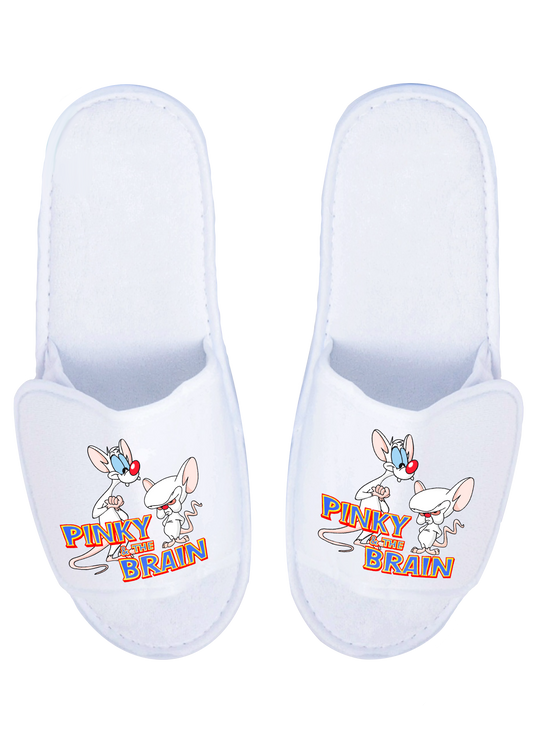 Pinky and the Brain Slippers